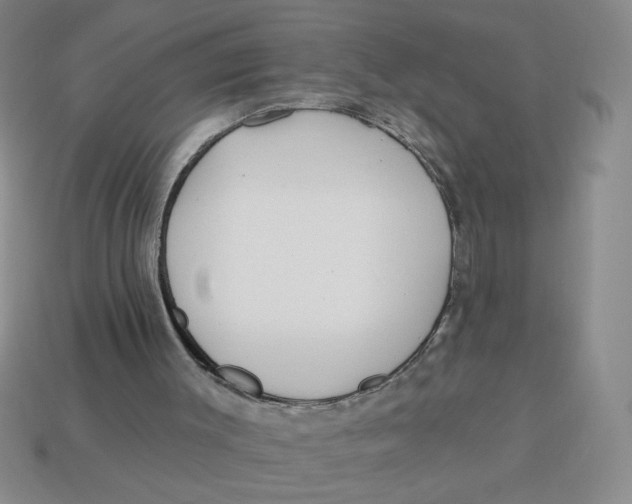 X0000113340003200910131228