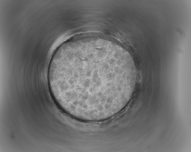X0000113340004200910131228