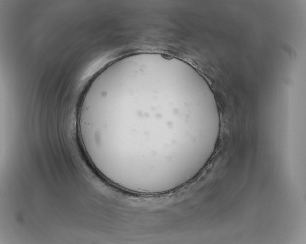 X0000113340005200910131228