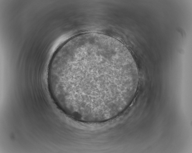 X0000113340006200910131228