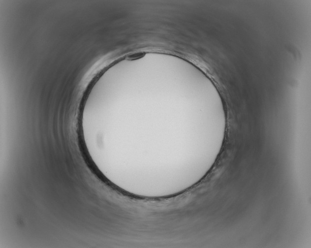 X0000113340007200910131228