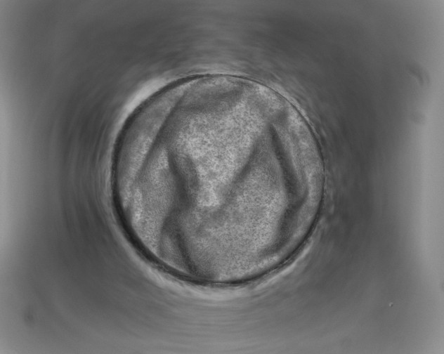 X0000113340008200910131228