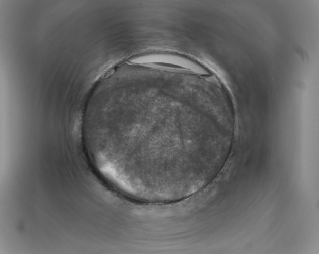 X0000113340009200910131228