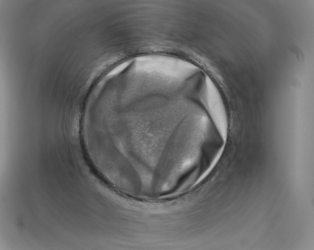 X0000113340010200910131228