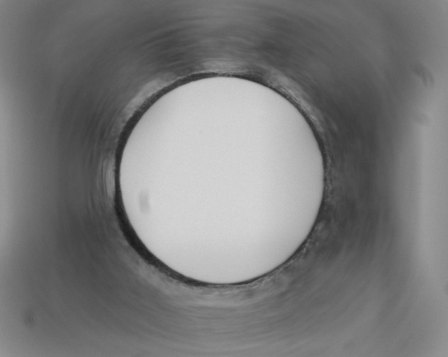 X0000113340011200910131228