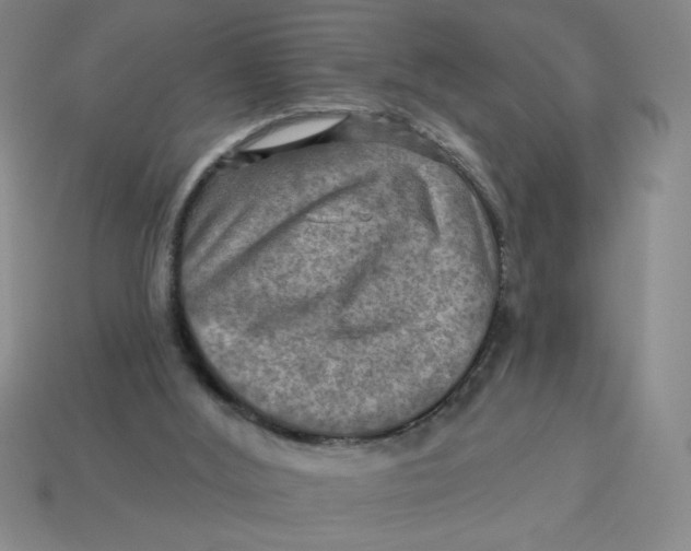 X0000113340012200910131228