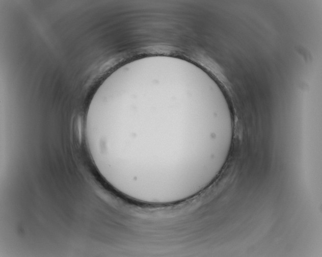 X0000113340013200910131228