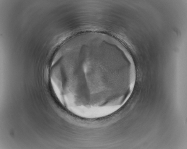 X0000113340014200910131228