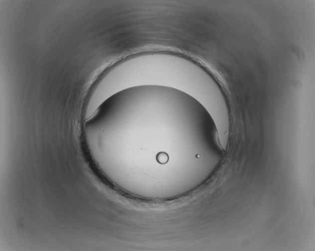 X0000113340015200910131228
