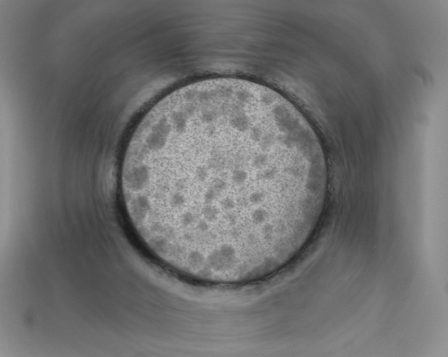 X0000113340016200910131228
