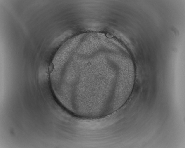 X0000113340017200910131228