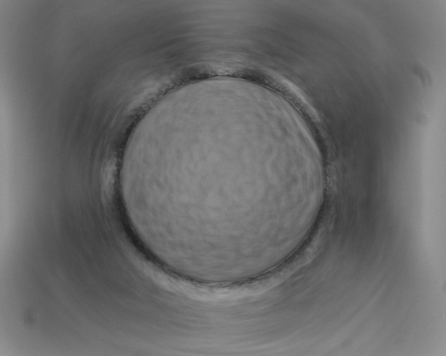 X0000113340018200910131228