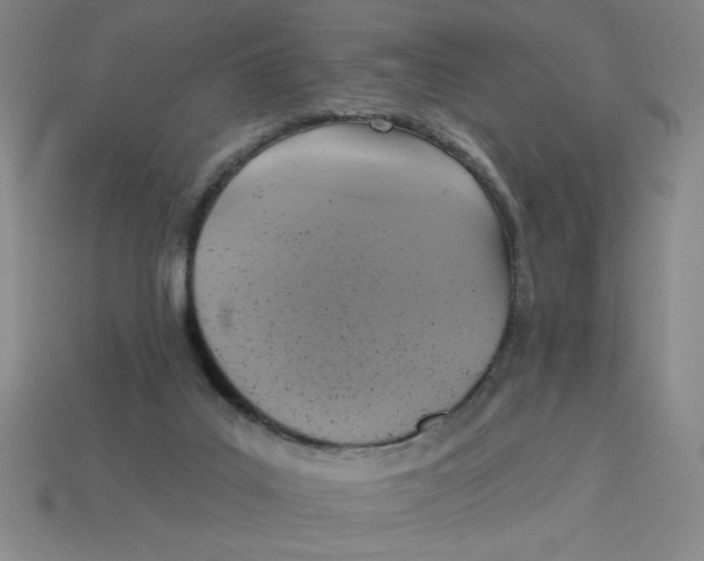 X0000113340019200910131228
