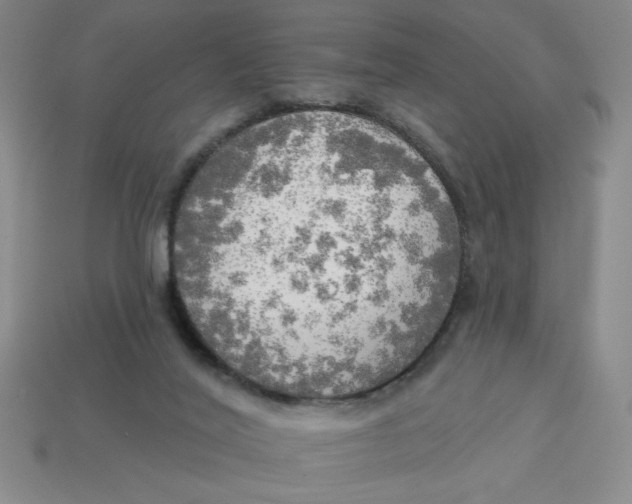 X0000113340020200910131228