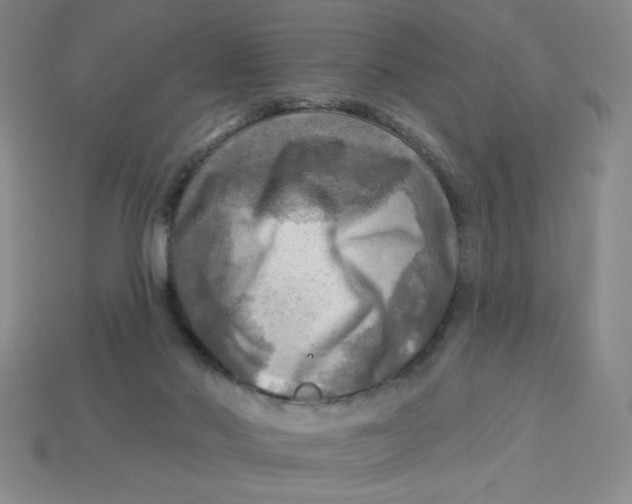X0000113340022200910131228