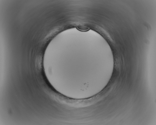 X0000113340023200910131228