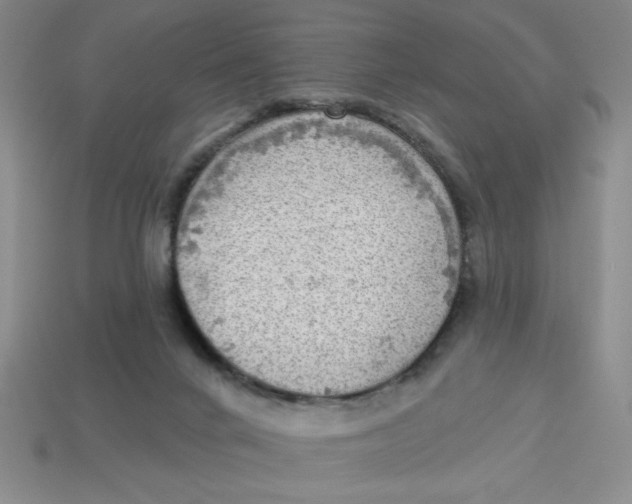 X0000113340024200910131228