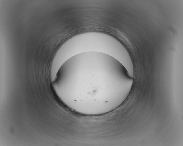 X0000113340025200910131228