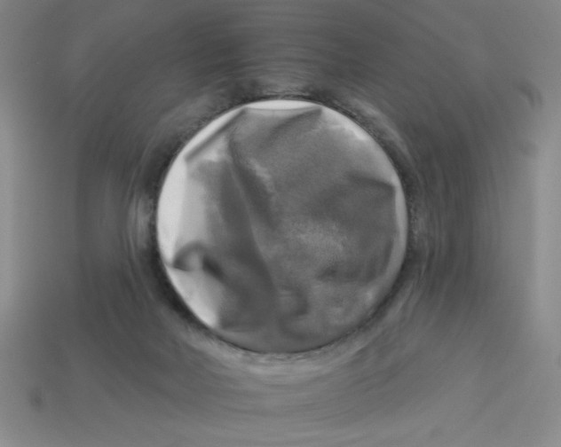 X0000113340026200910131228