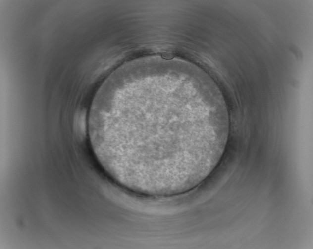 X0000113340028200910131228
