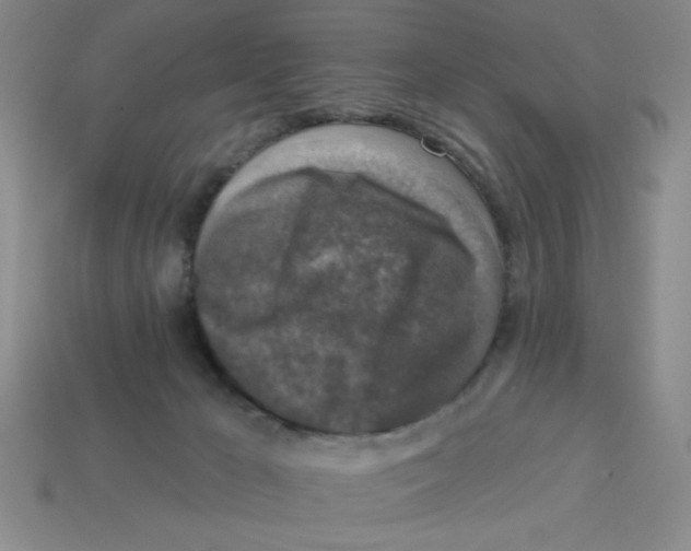 X0000113340029200910131228
