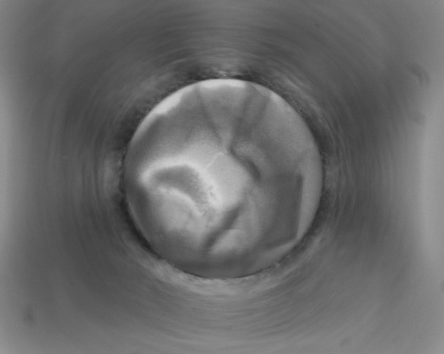 X0000113340030200910131228