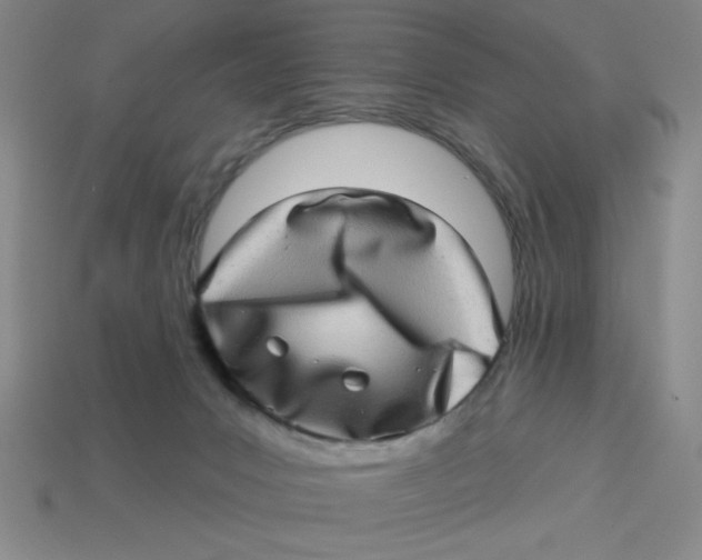 X0000113340031200910131228