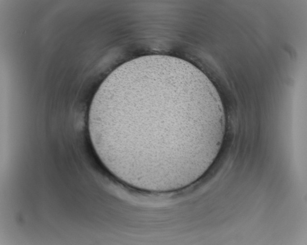 X0000113340032200910131228