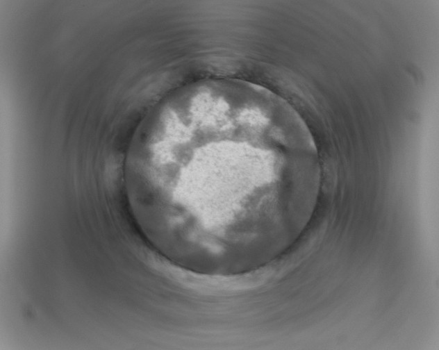 X0000113340034200910131228