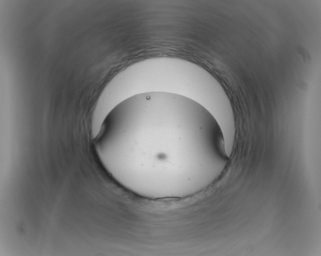 X0000113340037200910131228