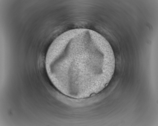 X0000113340038200910131228