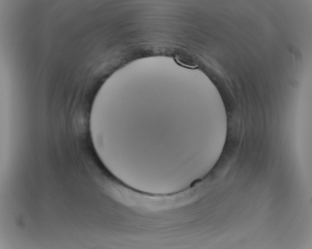 X0000113340039200910131228