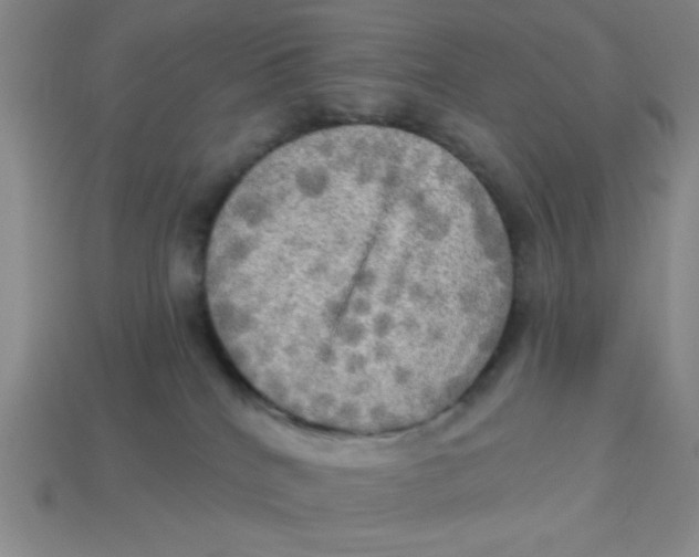 X0000113340040200910131228