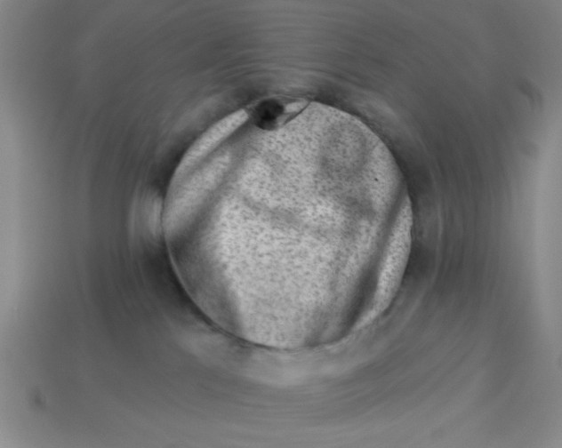 X0000113340041200910131228