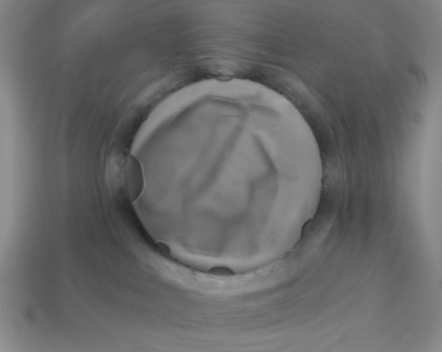 X0000113340043200910131228