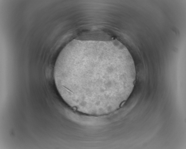 X0000113340044200910131228