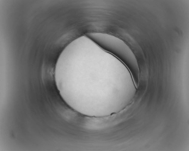X0000113340045200910131228