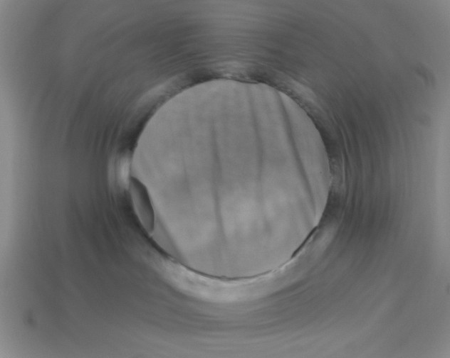 X0000113340047200910131228