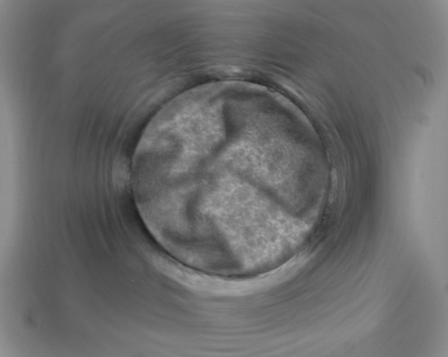 X0000113340048200910131228