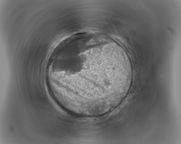 X0000113340049200910131227