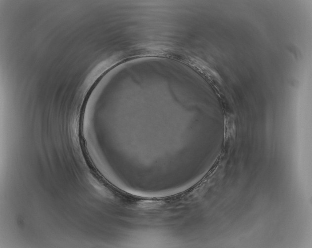 X0000113340051200910131227