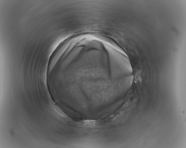 X0000113340052200910131227
