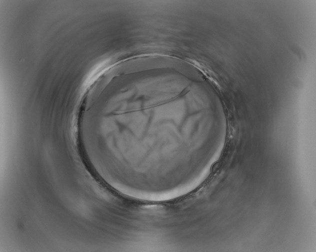 X0000113340053200910131227