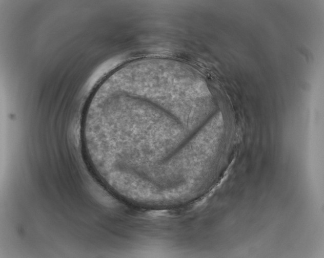 X0000113340054200910131227