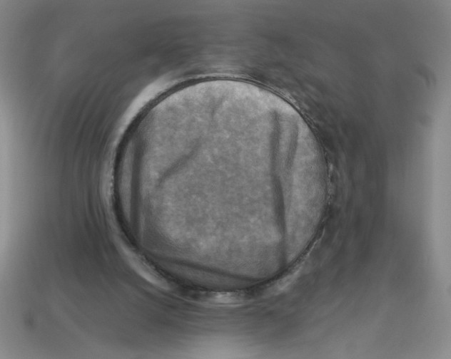 X0000113340056200910131227