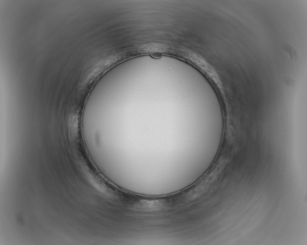 X0000113340057200910131227