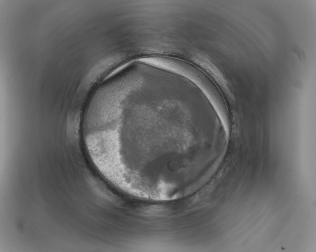 X0000113340058200910131227