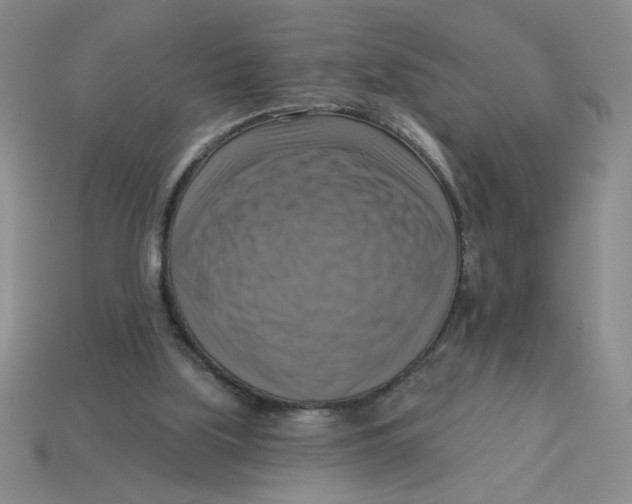X0000113340059200910131227