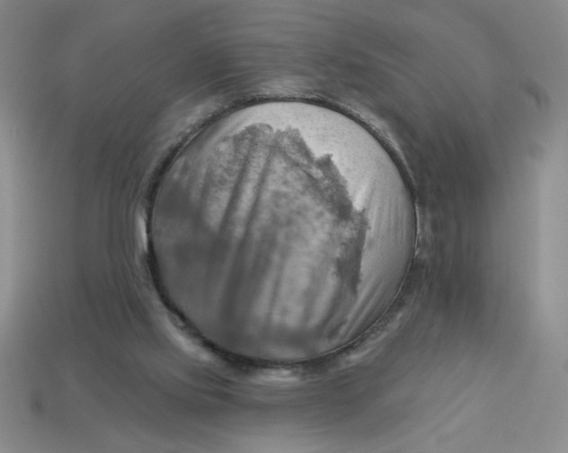 X0000113340061200910131227