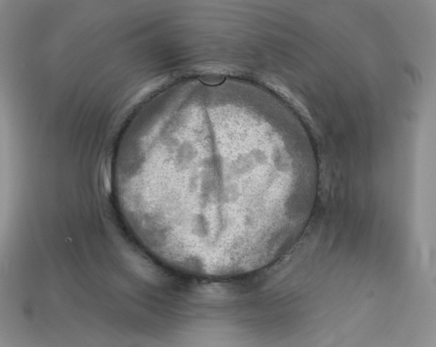 X0000113340062200910131227
